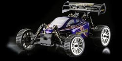 Revell Buggy GBL/Truggy G