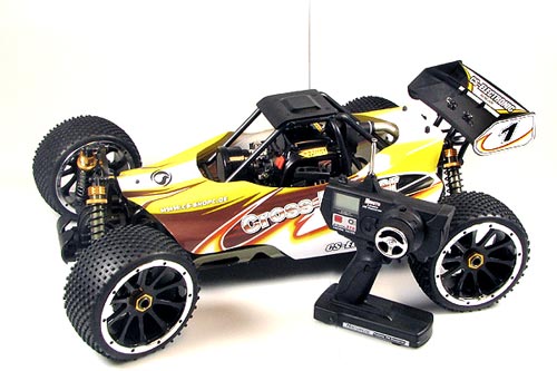 CS-Electronic 1/5 4WD Buggy Cross Fighter