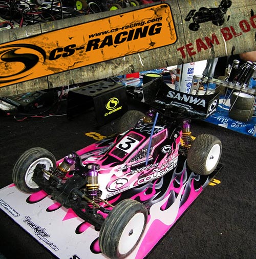 CS-Electronic DM Setup fr den Cougar SV