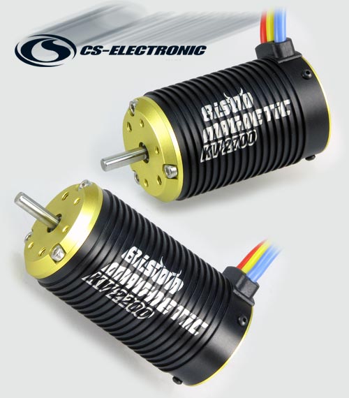 CS-Electronic Bison Magnetic BL Power