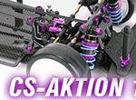 CS-Electronic CS-AKTION 1/10 Tourenwagen!
