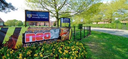 RMV-Deutschland 6.Int. NEO Buggy in Shropshire