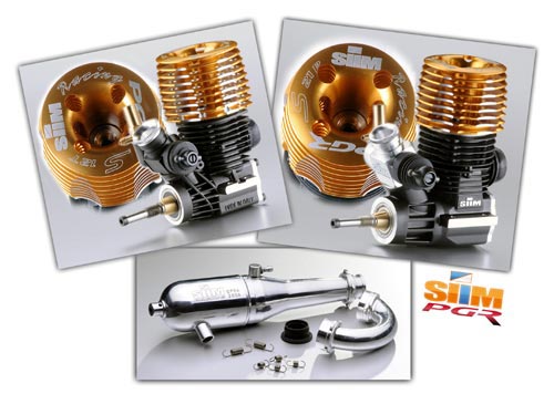 Ansmann Racing SIIM PGR Motoren