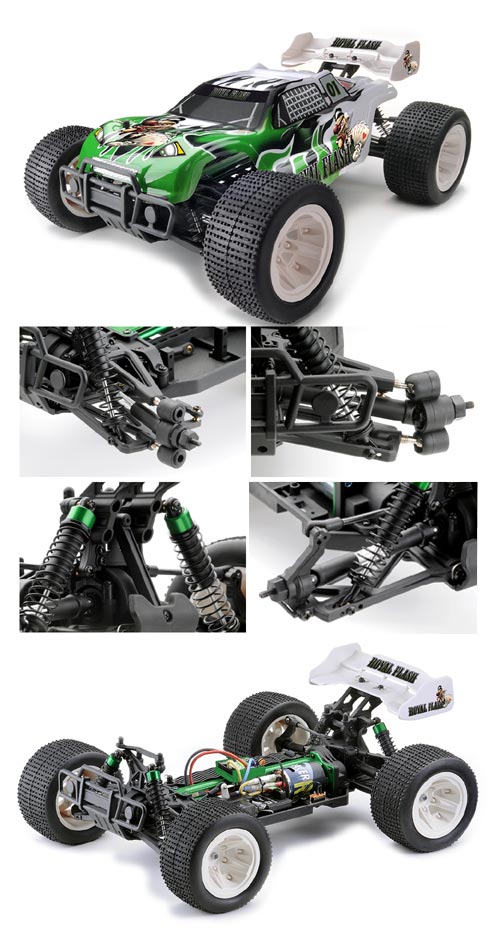 Ansmann Racing Royal Flash im Detail