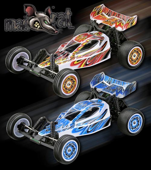 Ansmann Racing Pimp your Rat