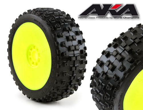 Kyosho AKA MOTO