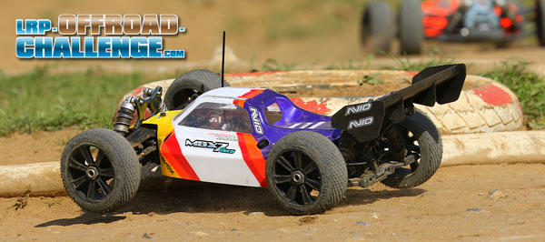 LRP Buggys wachsen bei der LRP Challenge!