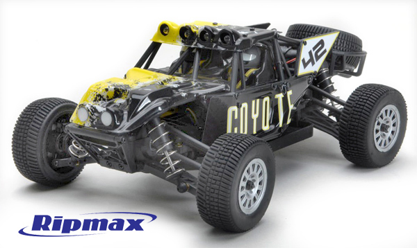 Ripmax Coyote 4WD Buggy 1:18 RTR