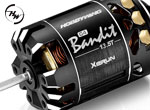 Robitronic Xerun Bandit Brushless Motoren G4