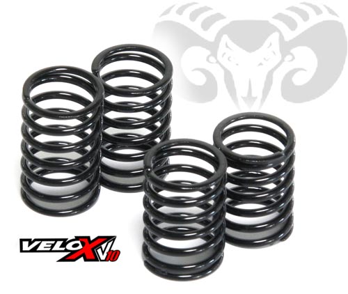 Shepherd Micro Racing Neuheiten Part2 fr Velox V10